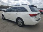 2014 Honda Odyssey Exl for Sale in Louisville, KY - Hail