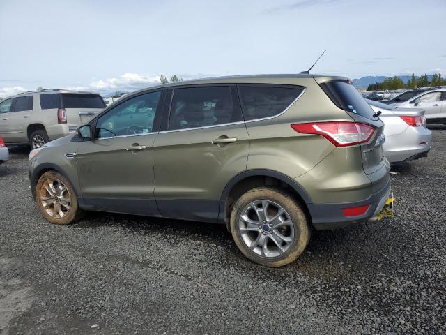  FORD ESCAPE 2013 Зеленый