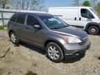 2009 Honda Cr-V Ex за продажба в Windsor, NJ - Rear End