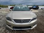 2014 Honda Accord Exl на продаже в Louisville, KY - Hail