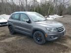 2014 Volkswagen Tiguan S for Sale in Cookstown, ON - Top/Roof