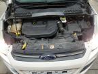 2015 Ford Escape Se for Sale in Ham Lake, MN - Rear End