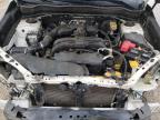 2014 Subaru Forester 2.5I Premium na sprzedaż w Chatham, VA - Front End