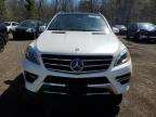 2014 Mercedes-Benz Ml 350 Bluetec en Venta en Cookstown, ON - Front End