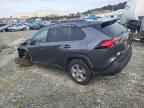2024 TOYOTA RAV4 XLE for sale at Copart NS - HALIFAX