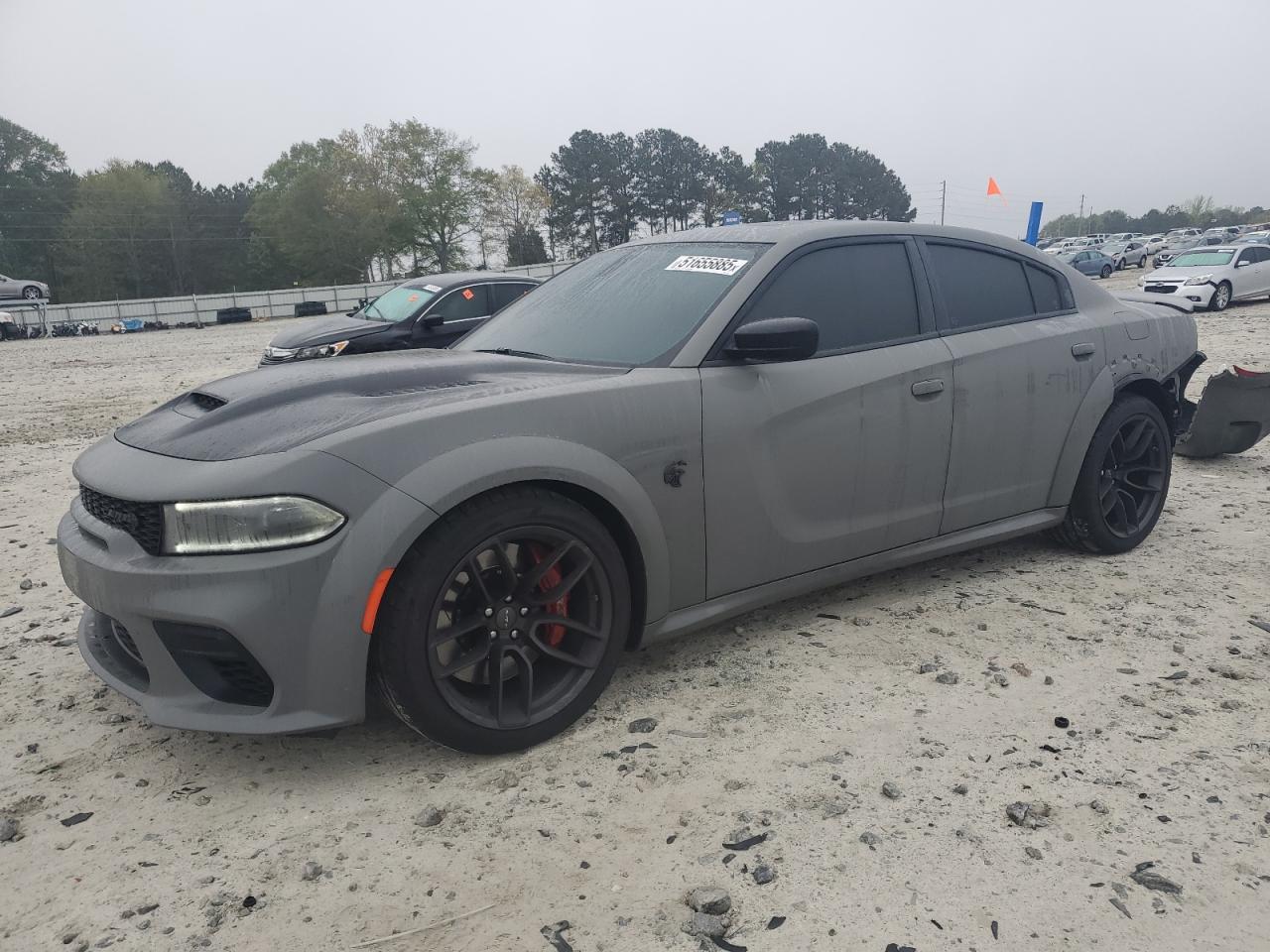 2023 Dodge Charger Srt Hellcat for Sale in Loganville, GA - Rear End