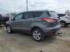 2014 Ford Escape Se en Venta en Fort Wayne, IN - Hail