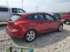 2014 Ford Focus Se за продажба в Lawrenceburg, KY - Front End