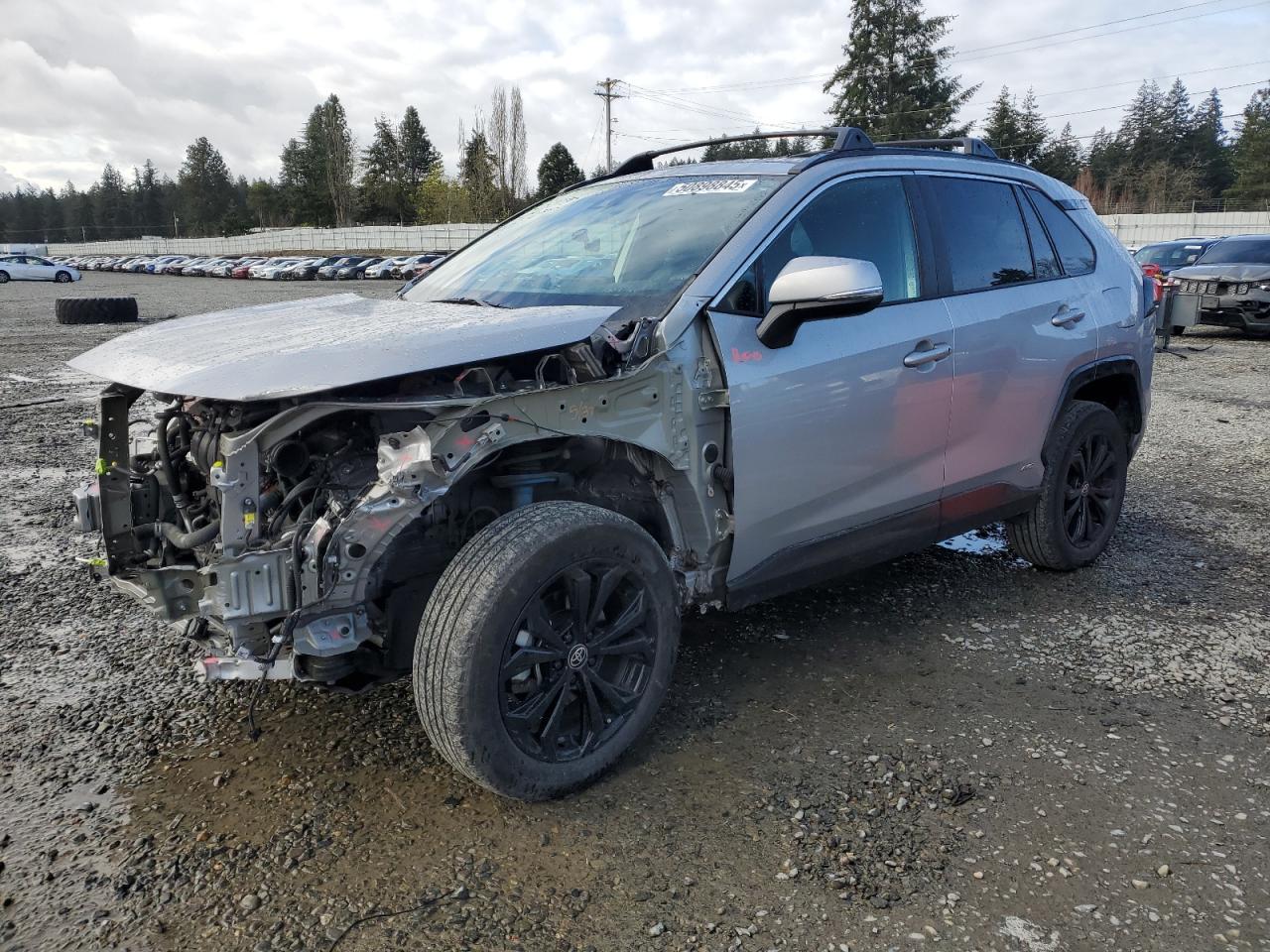 2022 Toyota Rav4 Se for Sale in Graham, WA - Front End