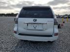 2020 Lexus Gx 460 Luxury na sprzedaż w Arcadia, FL - Front End