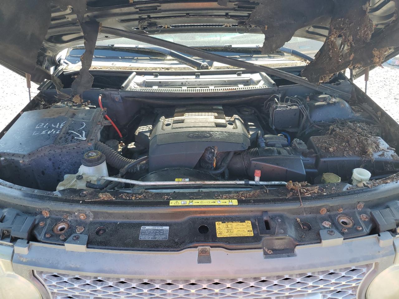 2008 Land Rover Range Rover Hse VIN: SALME15498A297479 Lot: 52484655