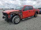 2013 Ford F150 Supercrew на продаже в Earlington, KY - Front End
