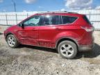 2013 Ford Escape Se zu verkaufen in Nisku, AB - Side