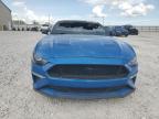 2021 Ford Mustang Gt for Sale in Lawrenceburg, KY - Burn