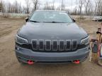 2019 Jeep Cherokee Trailhawk на продаже в Davison, MI - Top/Roof