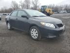 2010 Toyota Corolla Base de vânzare în New Britain, CT - Rear End