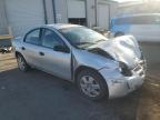 2004 Dodge Neon Base за продажба в Albuquerque, NM - Front End