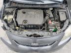 2010 TOYOTA COROLLA BASE à vendre chez Copart CA - SUN VALLEY