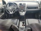 2010 Honda Cr-V Exl en Venta en New Britain, CT - Minor Dent/Scratches