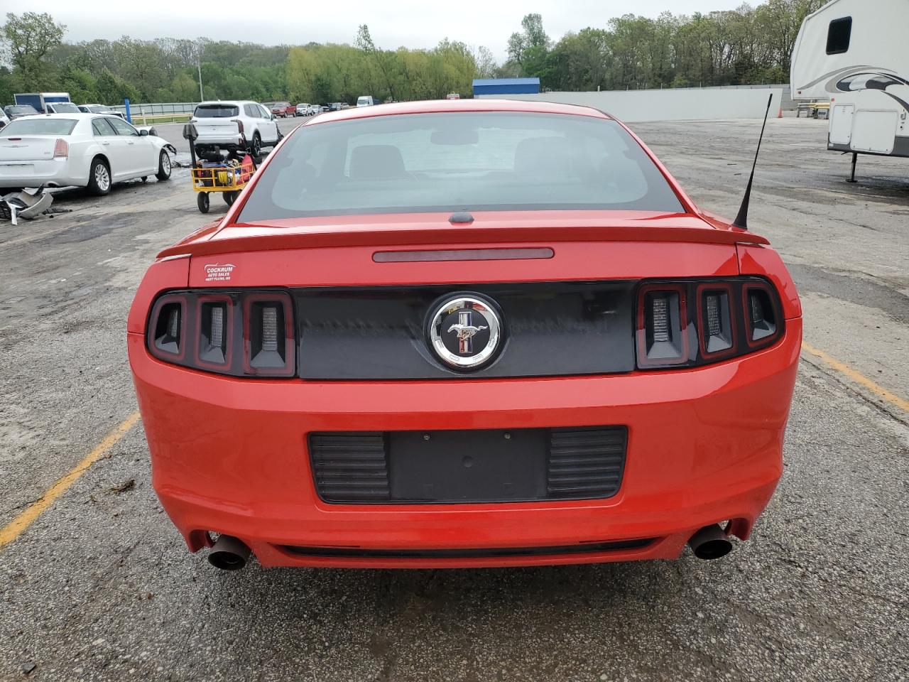 2013 Ford Mustang VIN: 1ZVBP8AM1D5223156 Lot: 54687355