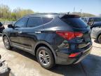 Louisville, KY에서 판매 중인 2017 Hyundai Santa Fe Sport  - Hail
