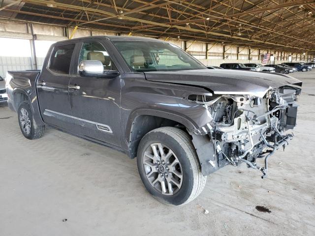  TOYOTA TUNDRA 2024 Charcoal