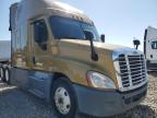 2016 Freightliner Cascadia 125 Semi Truck იყიდება Louisville-ში, KY - Normal Wear