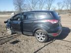 2013 Ford Escape Sel للبيع في Cicero، IN - Front End