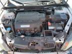 2014 Honda Accord Exl for Sale in Arcadia, FL - All Over