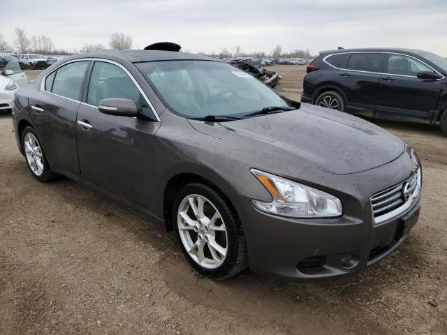  NISSAN MAXIMA 2012 Brązowy