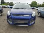 2016 Ford Escape Se for Sale in Portland, OR - Rear End