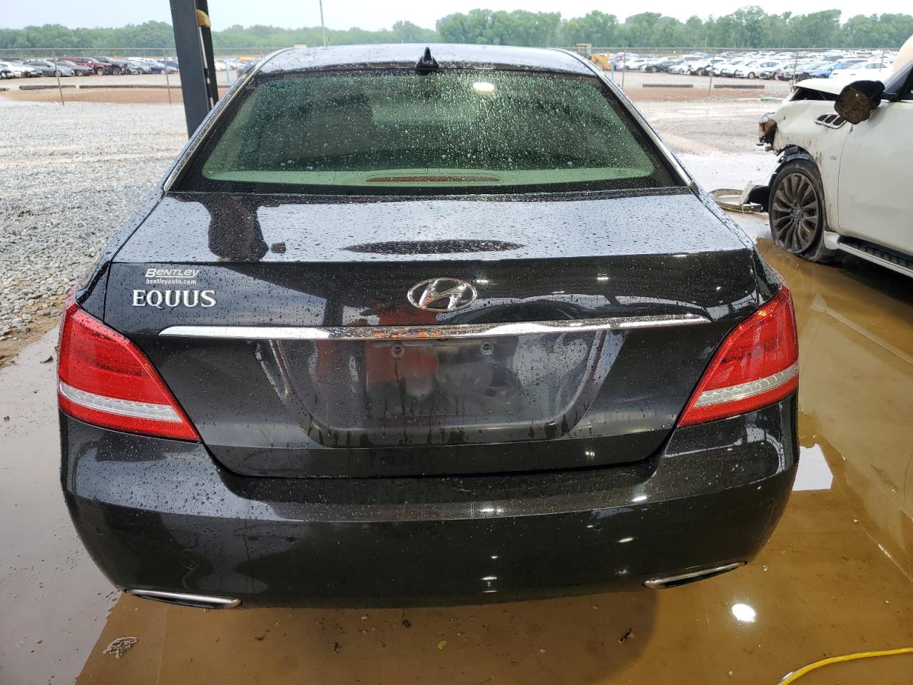 2016 Hyundai Equus Signature VIN: KMHGH4JH8GU101059 Lot: 53565565