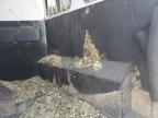 Conway, AR에서 판매 중인 2023 Bison Rg8209B Horse Trailer - All Over