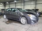 2013 Toyota Avalon Base na sprzedaż w Ham Lake, MN - Front End