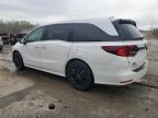 2023 Honda Odyssey Sport-L на продаже в Louisville, KY - Hail