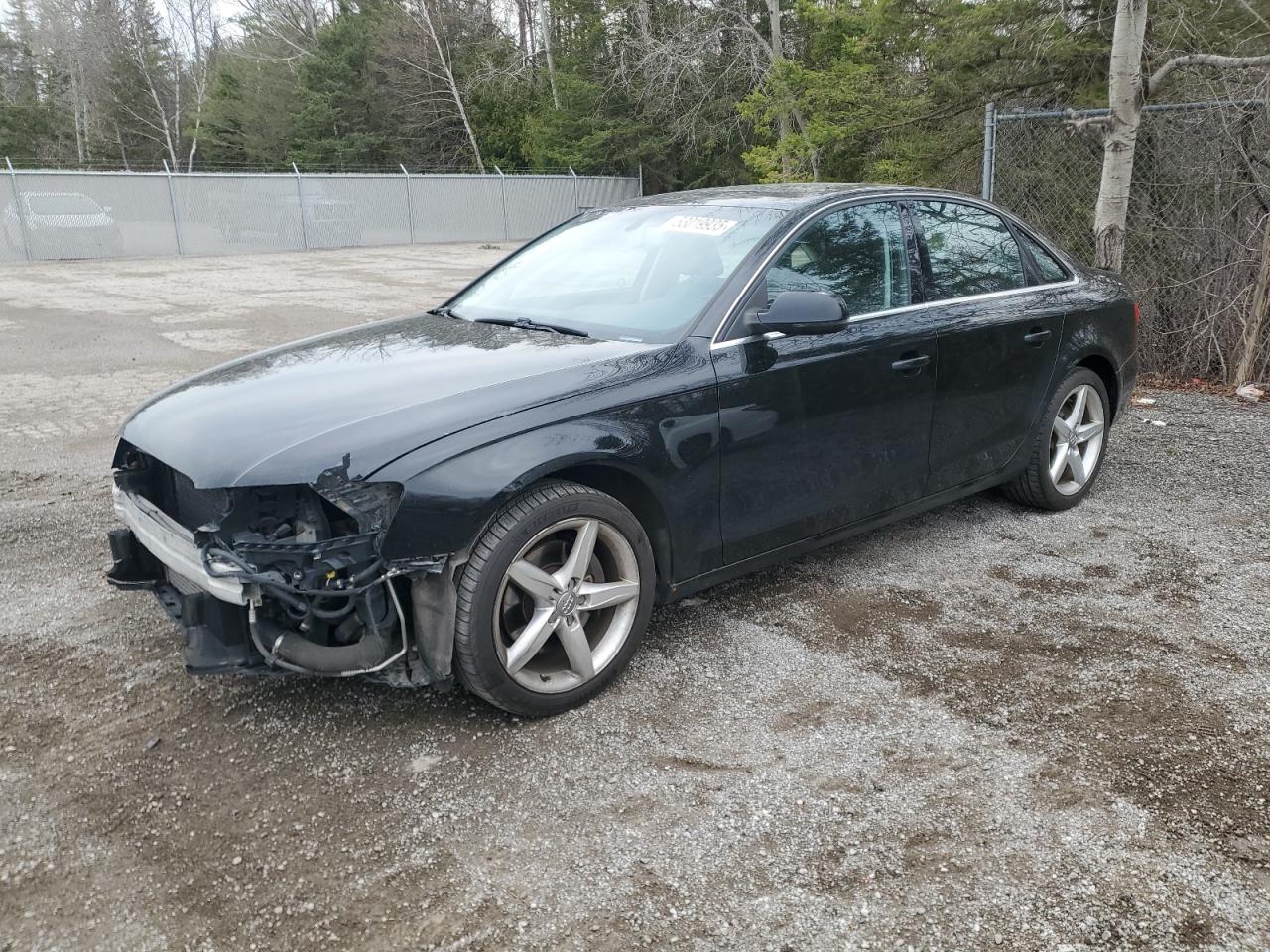 2012 Audi A4 Premium продається в Cookstown, ON - Front End