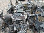 2017 Ford F250 Super Duty zu verkaufen in Oklahoma City, OK - Burn