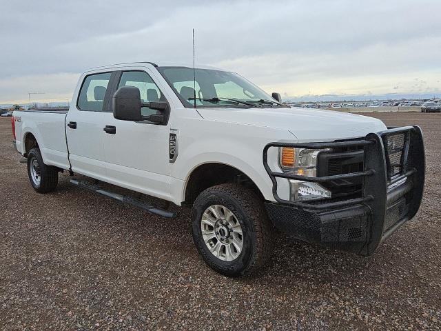  FORD F250 2021 White