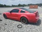 2007 Ford Mustang Gt na sprzedaż w Apopka, FL - Minor Dent/Scratches