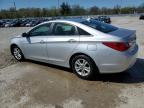 2013 Hyundai Sonata Gls იყიდება Lawrenceburg-ში, KY - Water/Flood