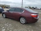 Indianapolis, IN에서 판매 중인 2014 Honda Accord Exl - Front End