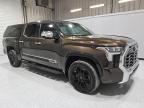 2023 Toyota Tundra Crewmax Platinum იყიდება Orlando-ში, FL - Normal Wear