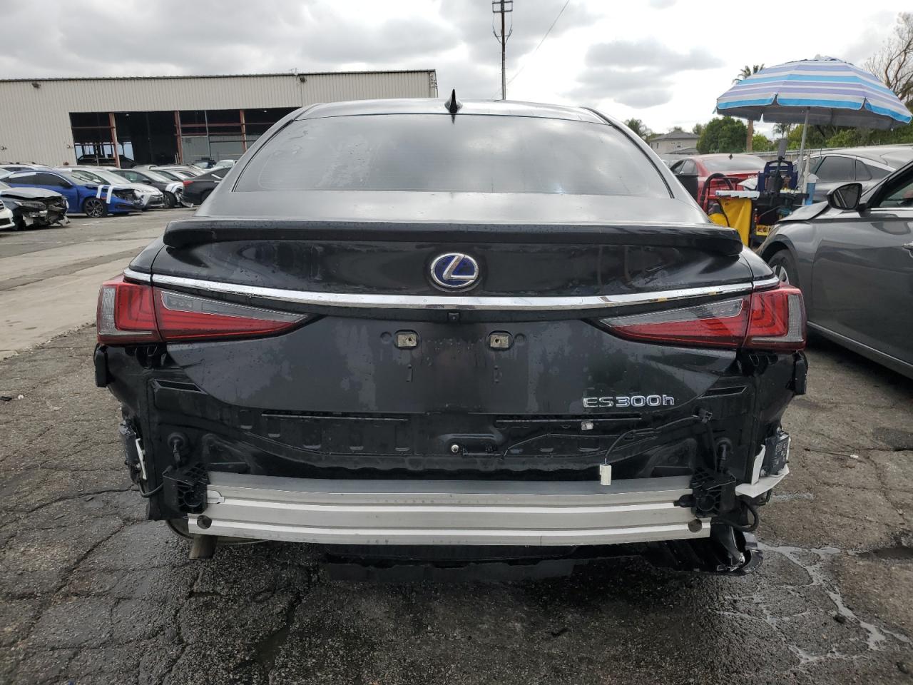 2022 Lexus Es 300H Base VIN: 58ADA1C13NU019560 Lot: 53808745