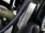 1997 Kawasaki Ex500 D იყიდება Ham Lake-ში, MN - All Over