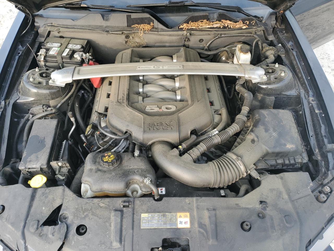 2013 Ford Mustang Gt VIN: 1ZVBP8FF3D5201301 Lot: 53169975