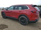2025 Honda Cr-V Exl for Sale in Bowmanville, ON - Front End