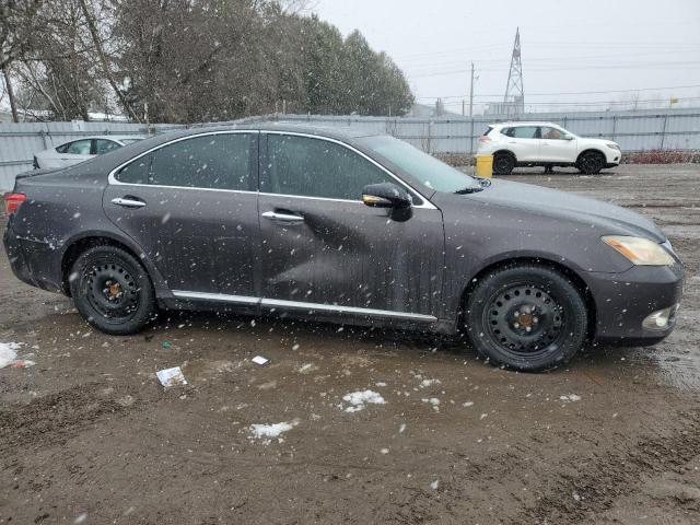 2011 LEXUS ES 350