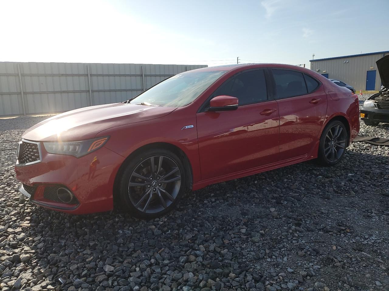 2019 Acura Tlx Technology იყიდება Arcadia-ში, FL - Side