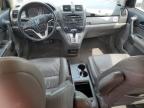 San Antonio, TX에서 판매 중인 2010 Honda Cr-V Exl - Front End