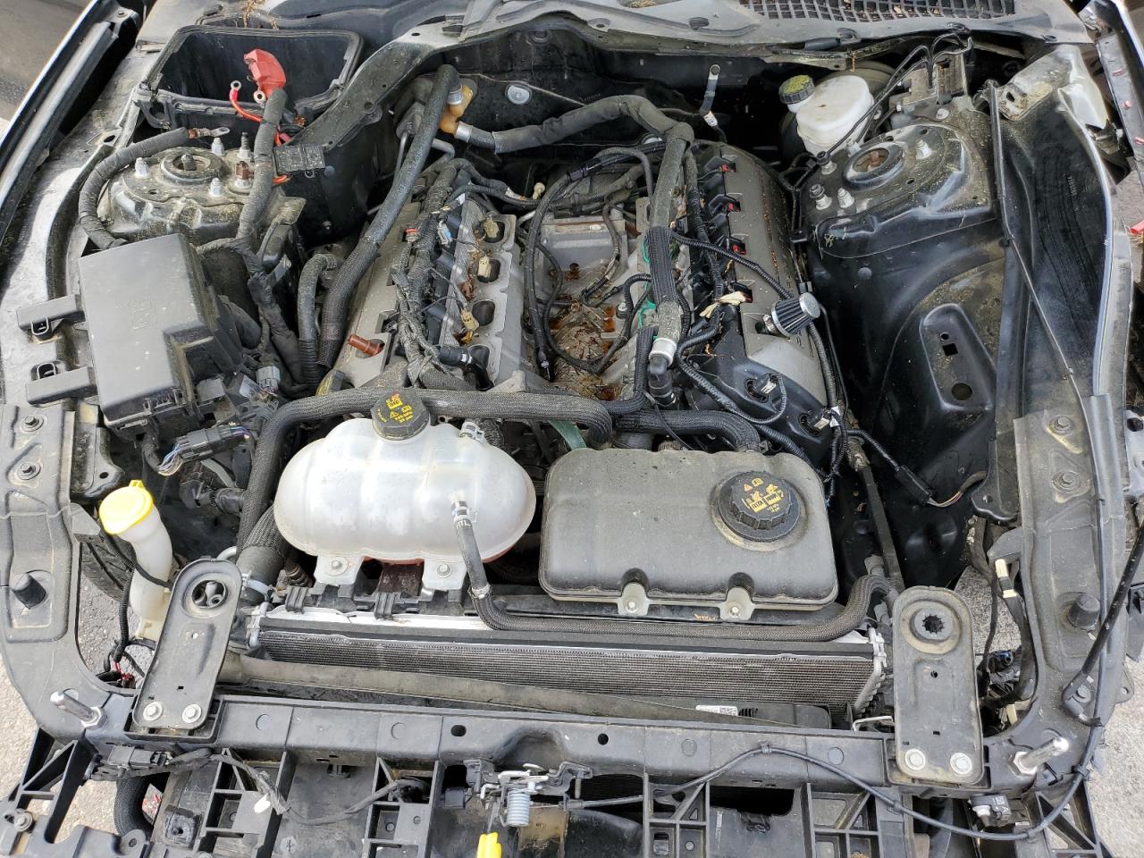 2015 Ford Mustang Gt VIN: 1FA6P8CF3F5318765 Lot: 54008805